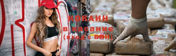сатива Горно-Алтайск