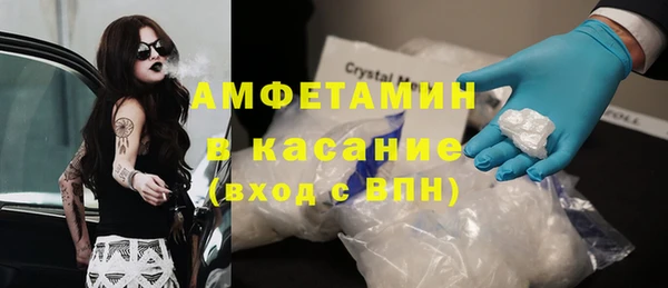 твердый Горняк