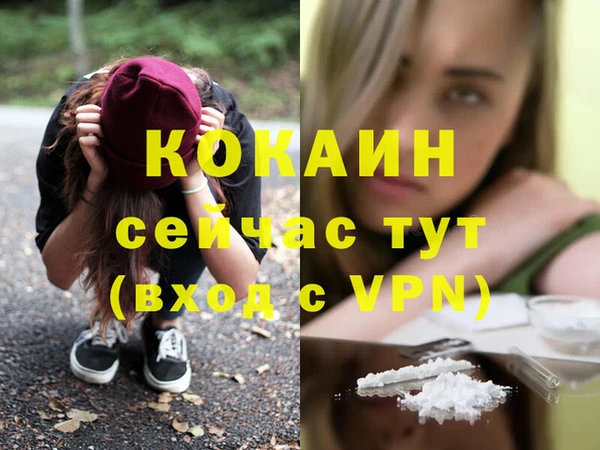 твердый Горняк