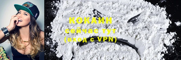 твердый Горняк