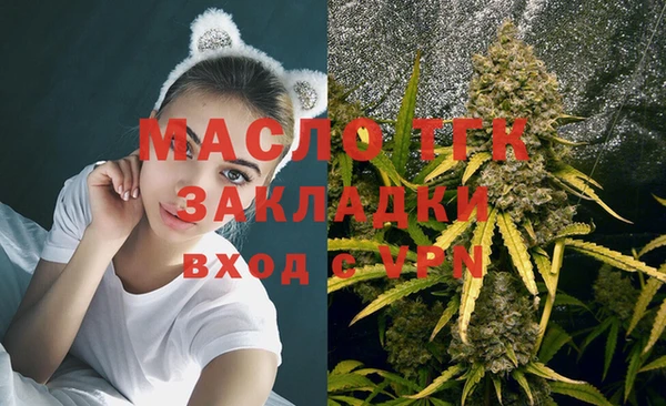 твердый Горняк