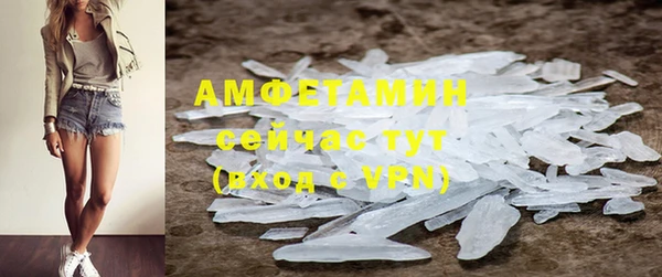 твердый Горняк