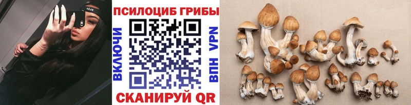 Галлюциногенные грибы Psilocybe  дарк нет официальный сайт  Находка  где продают  